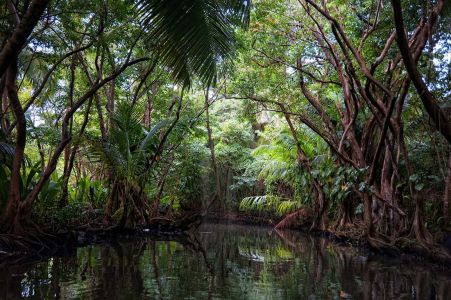 My Landscape - Nature Samples - Derek Galon Caribbean photography ...